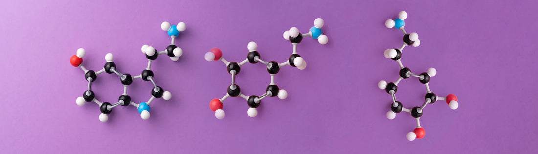 Mood food molecules 