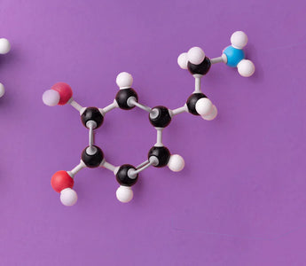 Mood food molecules 