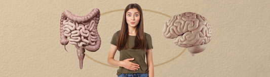 The Gut-Brain Connection