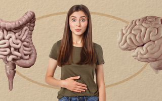 The Gut-Brain Connection